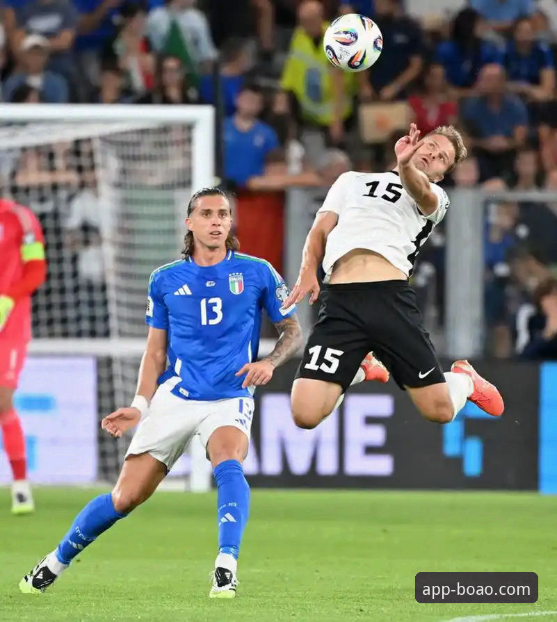 意大利连续三届无缘世界杯 vs 波黑创造历史：博奥体育用户郑涛深度复盘这场悲喜之夜
